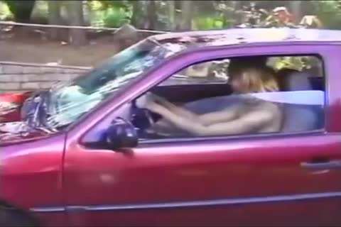 Car Cleaning