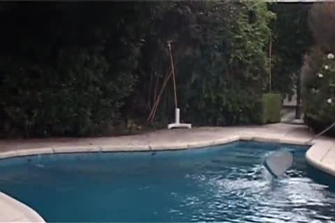 hardcore blonde And Redhead doxies fucking whilst dude Is Watching them
