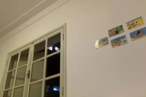 non-professional ladyboy Ts Enjoys Herlself In A Solo Masturbation