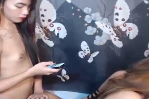 Two kinky sheboys pounding bare