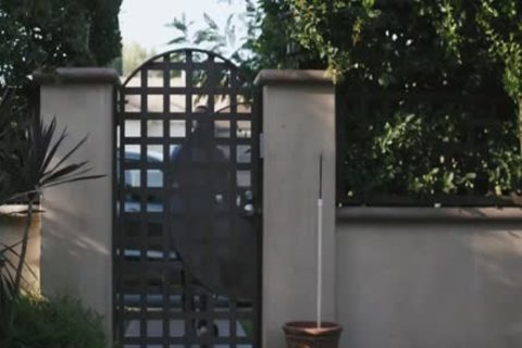 T-girl deepthroat