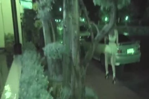 Night town Ladyboy Dream