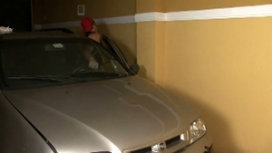 fine Sex In A Garage