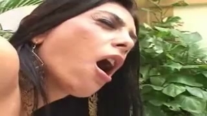 she Brasil Or Male oriental-she-Male